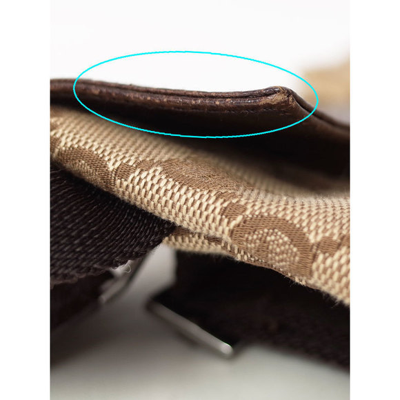 Gucci Waist Pouch - Picture 8 of 8